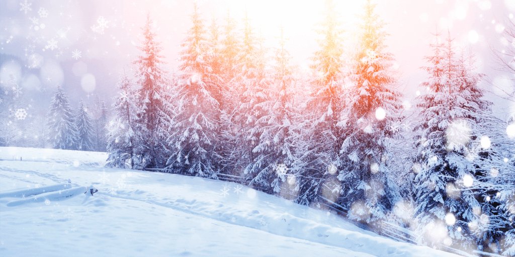 Unser Adventsbrunch in der Bel Etage
